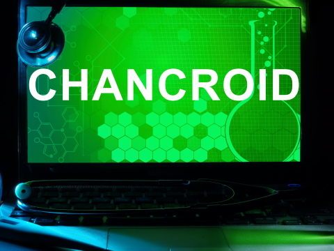 Chancroid