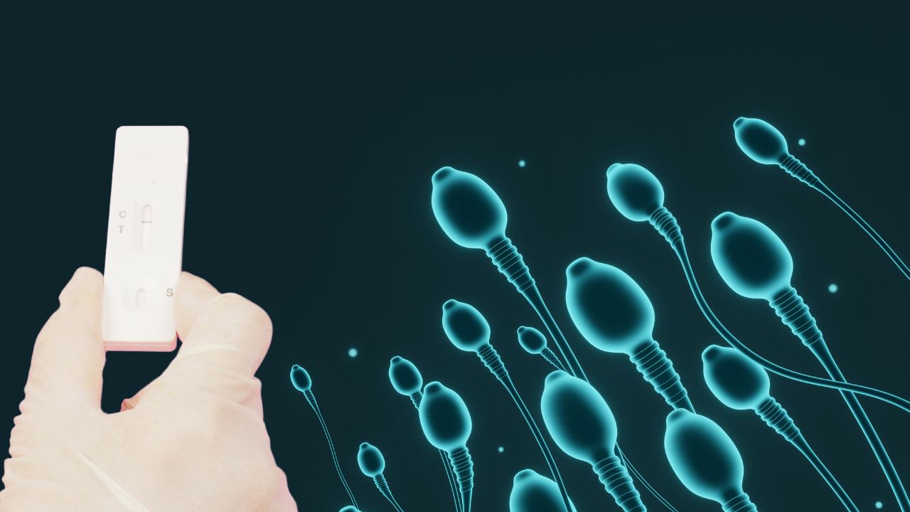 Male Fertility Test at Home: Fast, Private & Accurate Screening